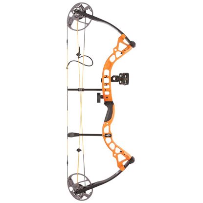 Picture of Diamond Prism Bow Package