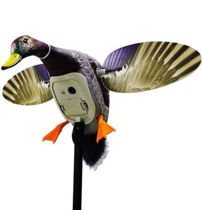 Picture for manufacturer Mojo Outdoors