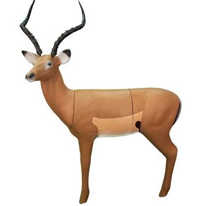 Picture for manufacturer Real Wild