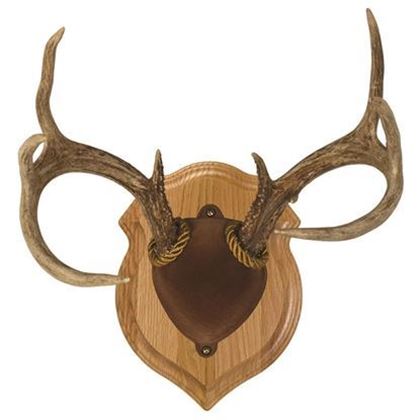 Picture for manufacturer Walnut Hollow