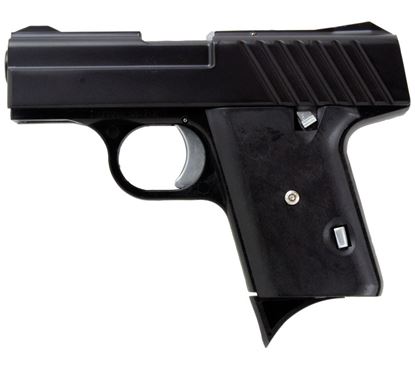 Picture of COB DENALI 380ACP POLY BLK