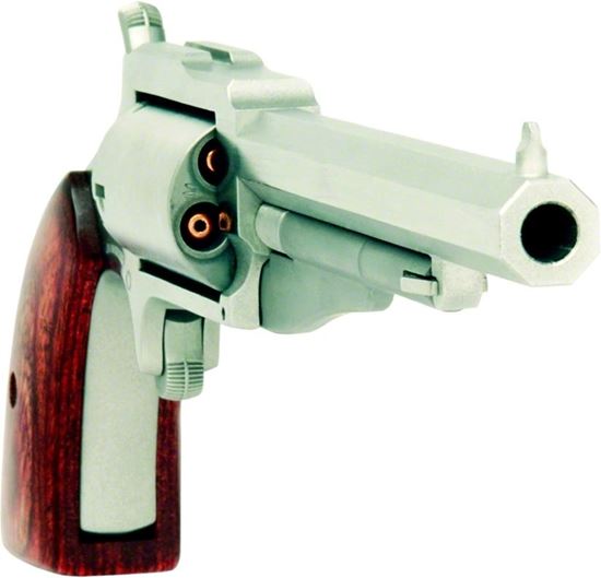 Picture of North American Arms The Earl