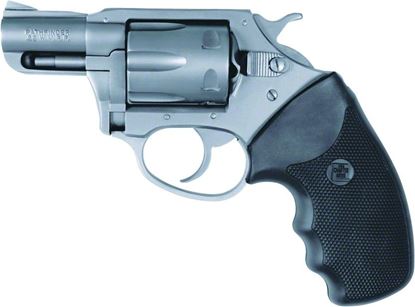 Picture of Charter Arms The 2" Pathfinder