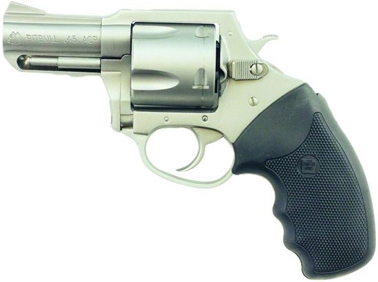 Picture of Charter Arms Pitbull