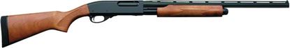 Picture of Remington Model 870 Express
