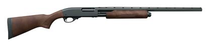 Picture of Remington Model 870 Express