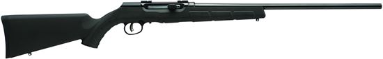 Picture of Savage Arms 47010-FG A17 Semi-Auto Rifle