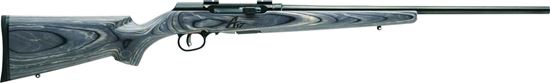 Picture of Savage Arms A17 Semi-Auto