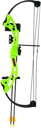 Picture of Bear Archery AYS300GR Brave RH Flo Green 13.5-19" draw 15-25#
