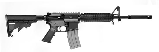 Picture of DEL-TON Echo 311/5 Semi Auto Rifle