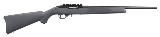 Picture of Ruger 10/22 Autoloading Rimfire