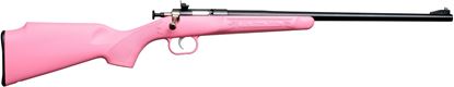 Picture of Keystone Sporting Arms Crickett Rifle with Synthetic Stock