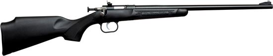 Picture of Keystone Sporting Arms Crickett Rifle with Synthetic Stock