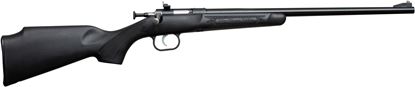 Picture of Keystone Sporting Arms Crickett Rifle with Synthetic Stock