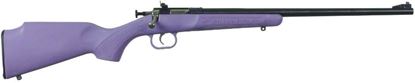 Picture of Keystone Sporting Arms Crickett Rifle with Synthetic Stock