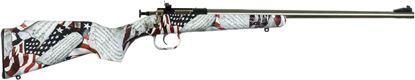 Picture of Keystone Sporting Arms Crickett Rifle with Hydrodipped Synthetic Stock