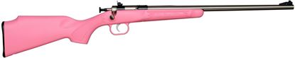 Picture of Keystone Sporting Arms Crickett Rifle with Synthetic Stock