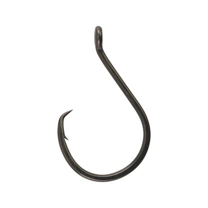 Picture of Berkley Fusion19 Circle Hook