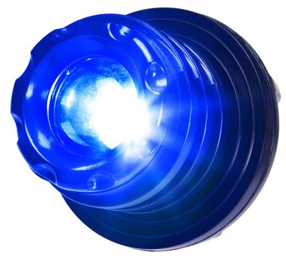 Picture of Calcutta CRDP-B Lighted Drain Plug. Replacement lighted plug for Renegade Coolers-Blue