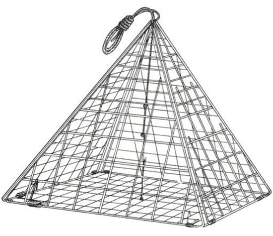 Picture of Eagle Claw 10160-002 Star Crab Trap 14" x 14"
