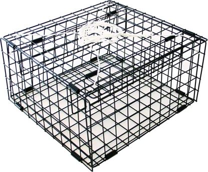 Picture of FJ Neil 225-CT Snap Trap Crab Trap