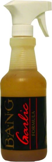 Picture of Bang 16-GAR Garlic Formula 16oz Trigger Spray