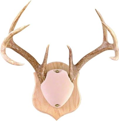 Picture of Quaker Boy 80101 Deluxe Horn Mount Kit, Tan Shroud, Solid Oak Backboard w/Hanger Kit