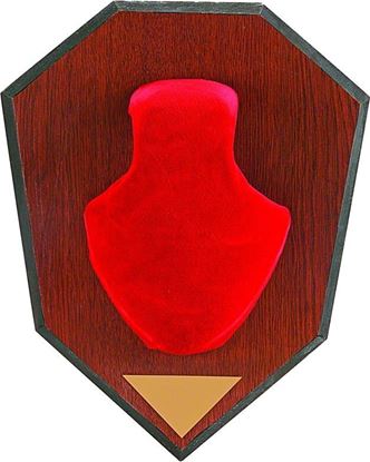 Picture of Allen 561 Antler Mounting Kit, Wood Grain Plaque, Red Skull Cover