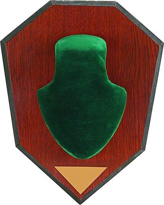Picture of Allen 562 Antler Mounting Kit, Wood Grain Plaque, Green Skull Cover