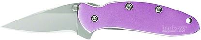 Picture of Kershaw 1600PINK Chive Assisted Opening Folding Knife, 1.9" Blade, Pink