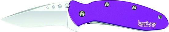 Picture of Kershaw 1620PUR Scallion Assisted Opening Folding Knife, 2.4" Partially Serrated Blade, Jewell Tone Purple