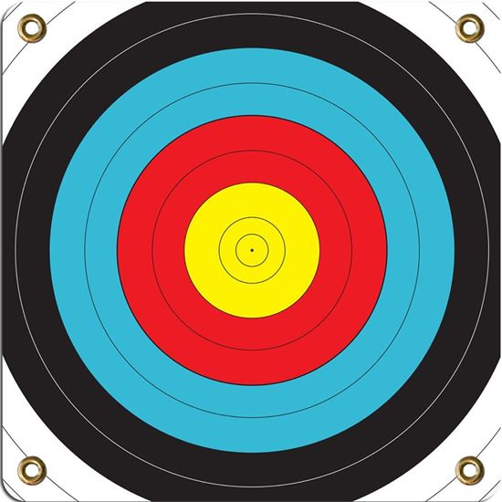 Picture of Arrowmat Foam Target Face