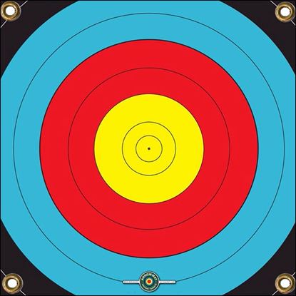 Picture of Arrowmat Foam Target Face