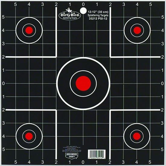 Picture of Birchwood Casey 35212 Dirty Bird Sight In 12" 12 Targets 12/Pk