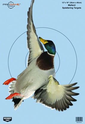 Picture of Birchwood Casey 35407 PreGame Duck 12x18 Target 8/Pk