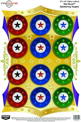 Picture of Birchwood Casey 35572 PreGame Star Burst 12x18 Target 8/Pk