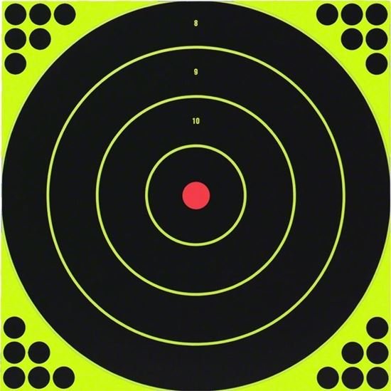 Picture of Birchwood Casey 34022 Shoot-N-C Bullseye 12" Target 12/PK