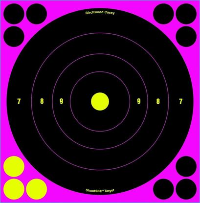 Picture of Birchwood Casey 34808 Shoot-N-C Pink 8" Bullseye Target 6/Pk