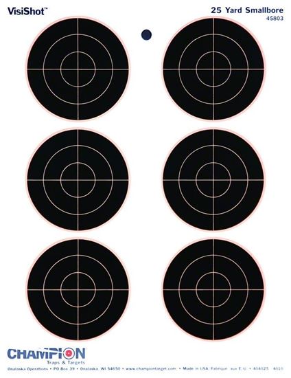 Picture of Champion 45803 Visishot 25 yd Smallbore Target, 6-3" Bullseyes, 8.5"x11", 10Pk