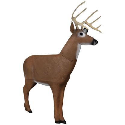 Picture of Delta McKenzie Big Daddy Buck Target