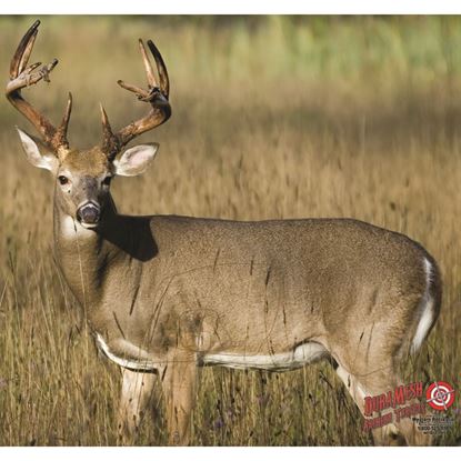 Picture of DuraMesh Archery Target