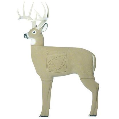 Picture of GlenDel 71010 Crossbow Buck 4-side Vital Insert