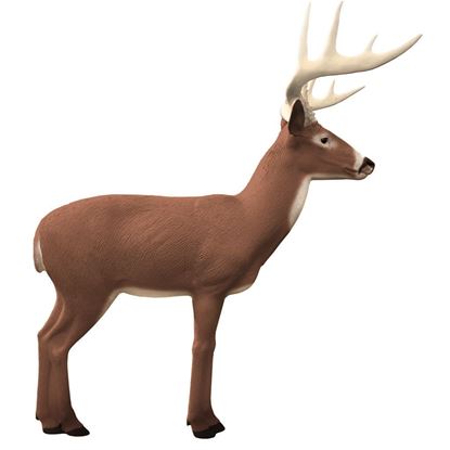 Picture of Rinehart Booner Buck Target