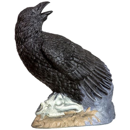 Picture of Rinehart Raven Target