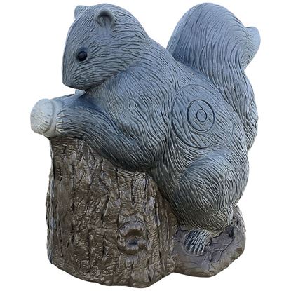 Picture of Rinehart Squirrel Target