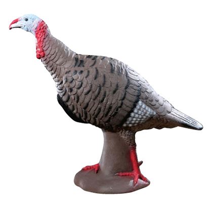 Picture of Rinehart Tom Turkey Target