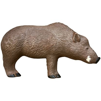 Picture of Rinehart Woodland Boar Target