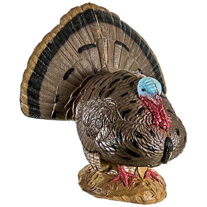 Picture of Rinehart Woodland Strutting Turkey Target
