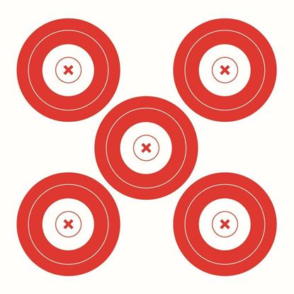 Picture of Walk On Paper Target 