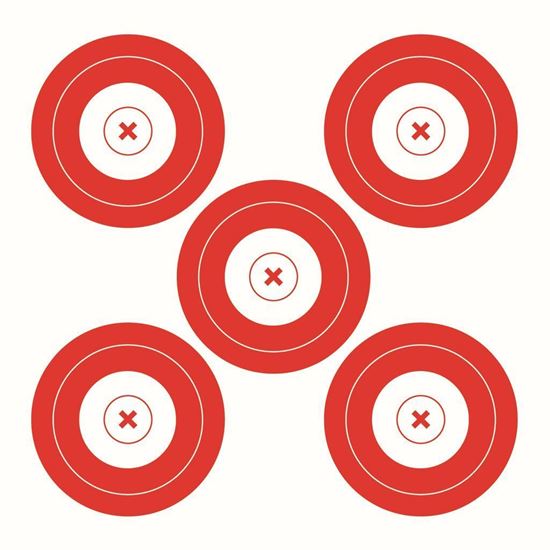 Picture of Walk On Paper Target 